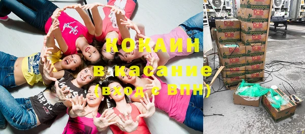 молекула духа Алзамай