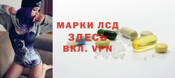 крисы Абаза