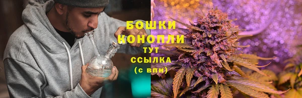 молекула духа Алзамай