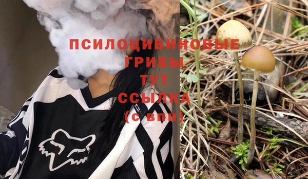 молекула духа Алзамай